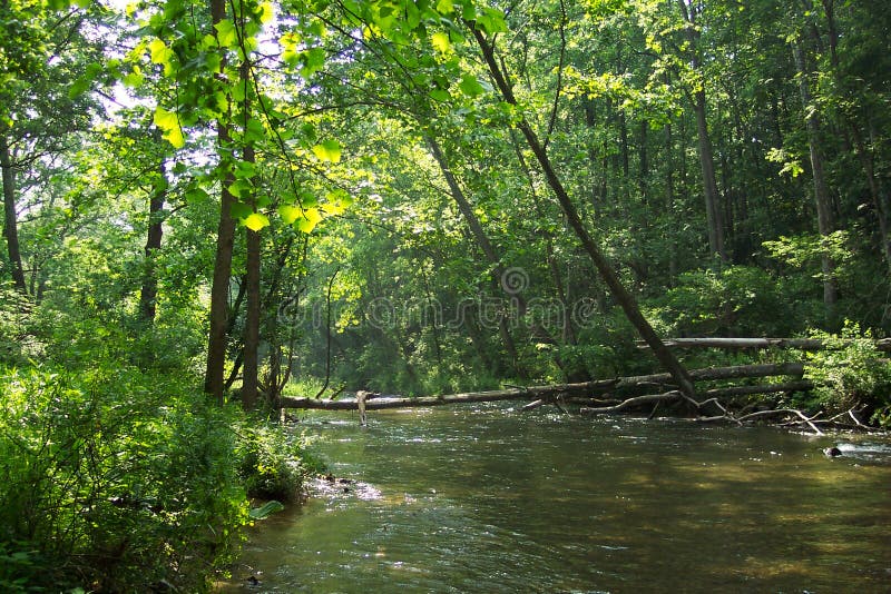 Photo of Gunpowder River in the state of Maryland north of Balltimore. This is one the state's best tailwater trout fisheries. Mostly Brown Trout in this stream. Photo of Gunpowder River in the state of Maryland north of Balltimore. This is one the state's best tailwater trout fisheries. Mostly Brown Trout in this stream.