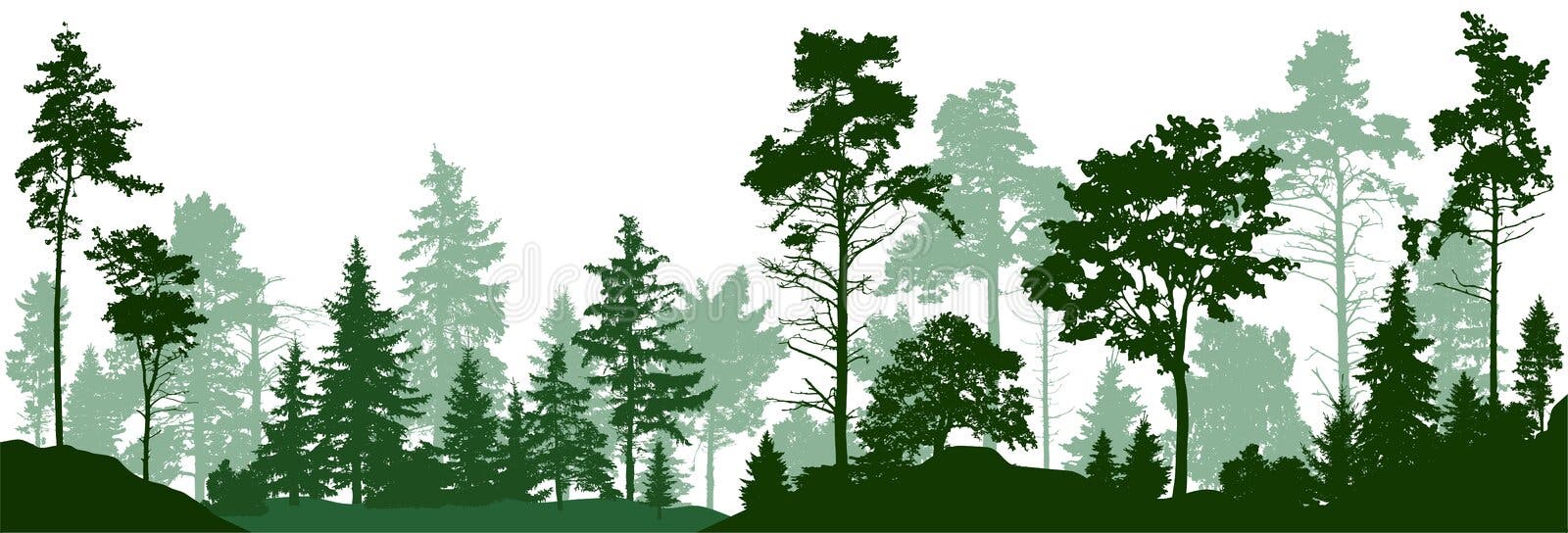 Alberi della siluetta della foresta Foresta di conifere sempreverde con i pini, abeti, albero di Natale, cedro, abete scozzese Ve Alberi della siluetta della foresta Foresta di conifere sempreverde con i pini, abeti, albero di Natale, cedro, abete scozzese Ve