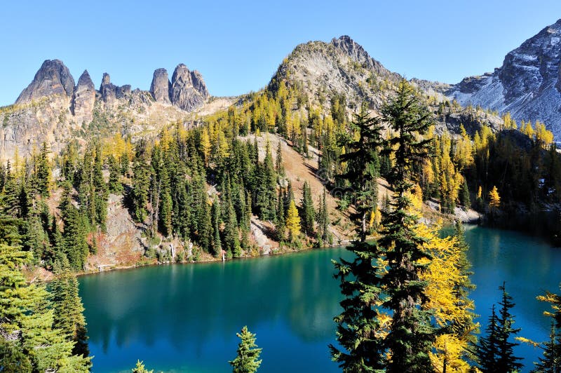 Alberi di larice dorato e traccia blu del lago immagini stock Alberi di larice dorato e traccia blu del lago immagini stock