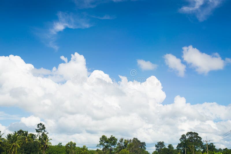 Alberi e paesaggio nuvoloso della nuvola del cielo blu fotografie stock Alberi e paesaggio nuvoloso della nuvola del cielo blu fotografie stock