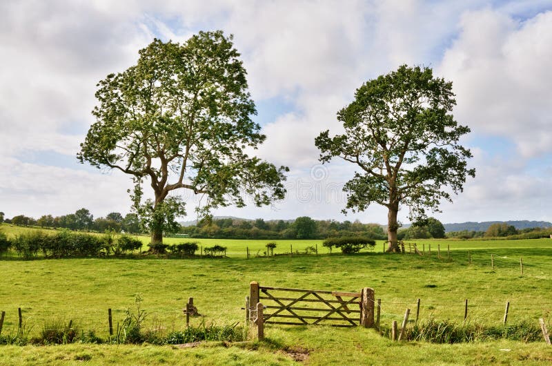 Alberi e un cancello del campo nel paesaggio inglese rurale fotografie stock libere da diritti Alberi e un cancello del campo nel paesaggio inglese rurale fotografie stock libere da diritti
