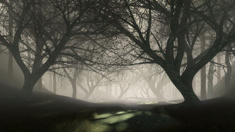 Alberi morti spaventosi nella foresta nebbiosa di notte