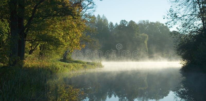 Alberi sopra acqua calma all'alba immagini stock Alberi sopra acqua calma all'alba immagini stock