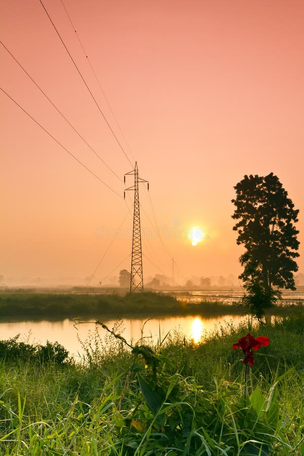 Electricity location middle post pounds the farm under the sun light in the morning. Electricity location middle post pounds the farm under the sun light in the morning