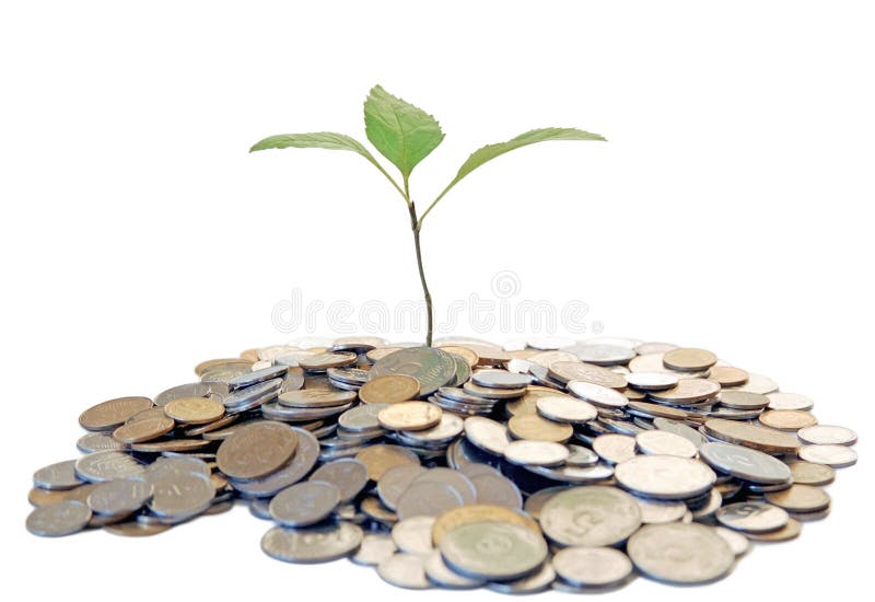 Albero crescente da soldi fotografia stock Albero crescente da soldi fotografia stock