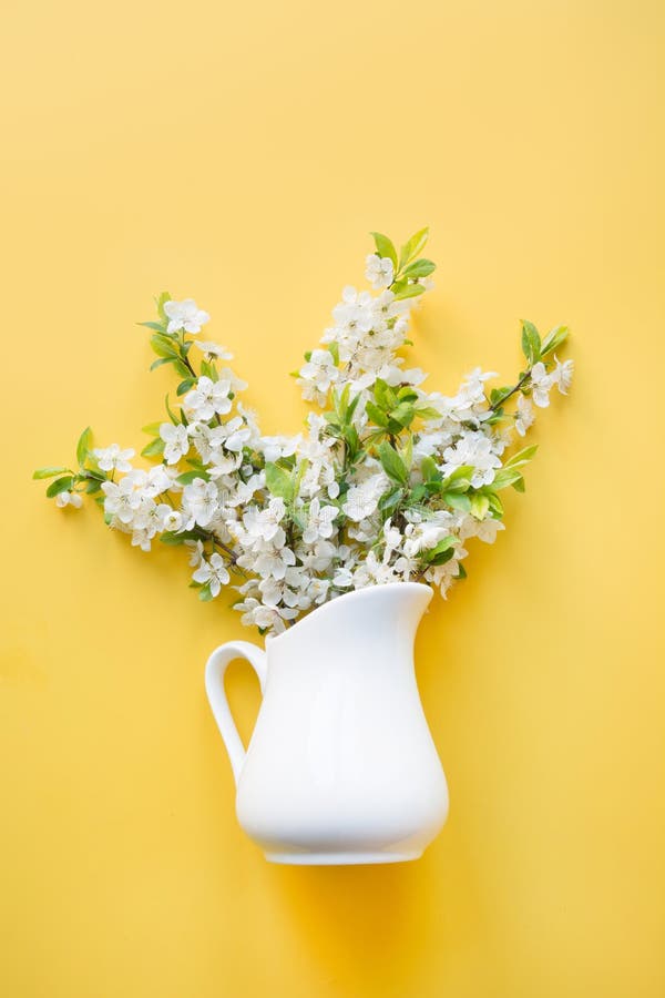 Albero da frutto di fioritura della ciliegia dei fiori bianchi del mazzo in vaso su giallo Vista superiore fotografie stock libere da diritti Albero da frutto di fioritura della ciliegia dei fiori bianchi del mazzo in vaso su giallo Vista superiore fotografie stock libere da diritti