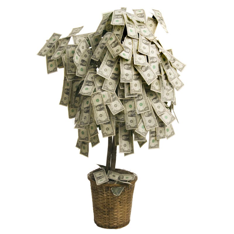 Albero dei soldi fotografia stock libera da diritti Albero dei soldi fotografia stock libera da diritti