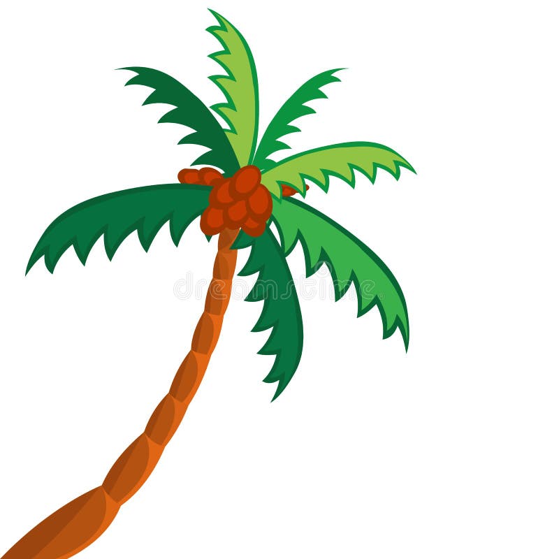 Albero del cocco illustrazione di stock Albero del cocco illustrazione di stock