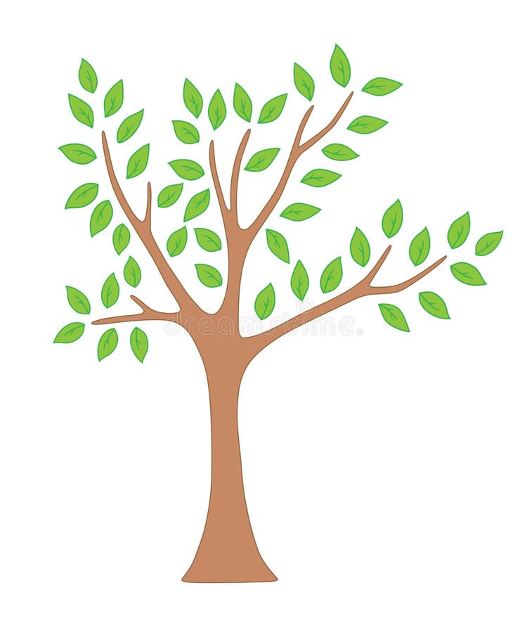 Albero della sorgente con i fogli illustrazione vettoriale Albero della sorgente con i fogli illustrazione vettoriale