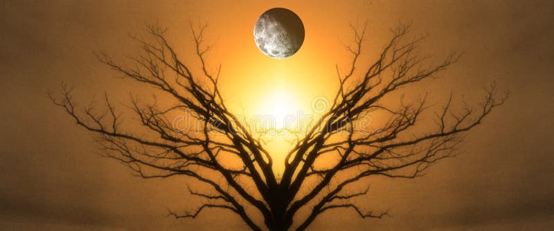 Mystic Tree of Life. Moon in The Sky. Sunset or Sunrise. Mystic Tree of Life. Moon in The Sky. Sunset or Sunrise