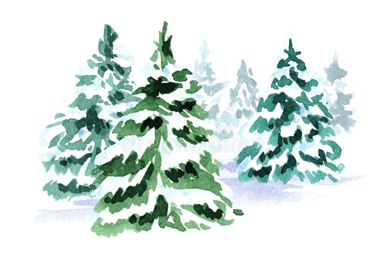 Albero di abete di Natale della foresta di inverno Illustrazione disegnata a mano dell'acquerello, isolata su fondo bianco illustrazione di stock Albero di abete di Natale della foresta di inverno Illustrazione disegnata a mano dell'acquerello, isolata su fondo bianco illustrazione di stock