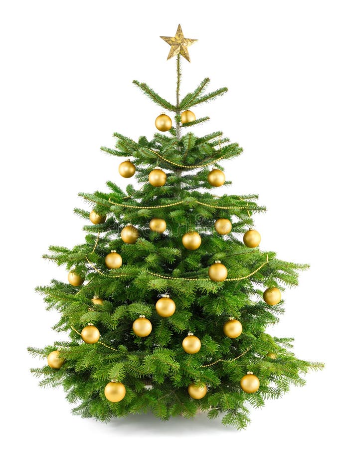 Albero di Natale fertile con gli ornamenti dell'oro fotografie stock libere da diritti Albero di Natale fertile con gli ornamenti dell'oro fotografie stock libere da diritti