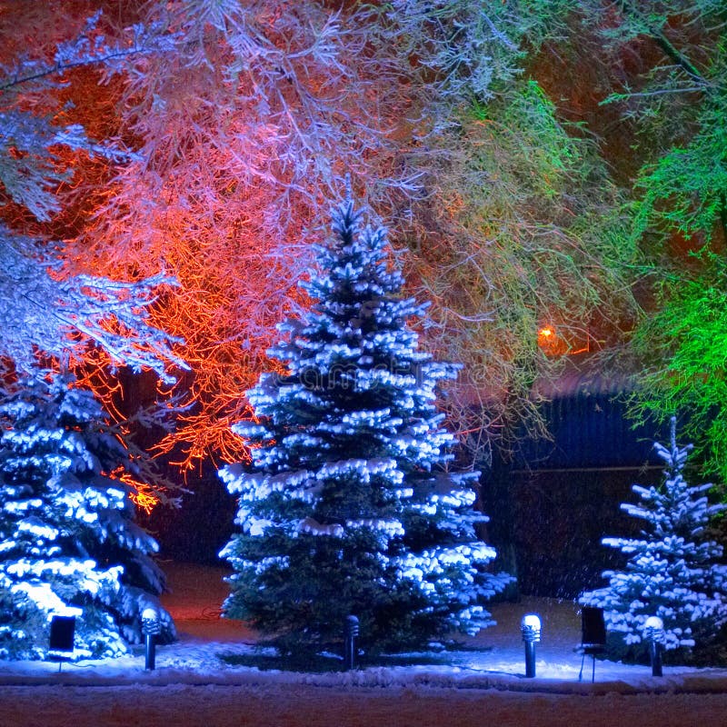 Albero di Natale magico immagine stock libera da diritti Albero di Natale magico immagine stock libera da diritti