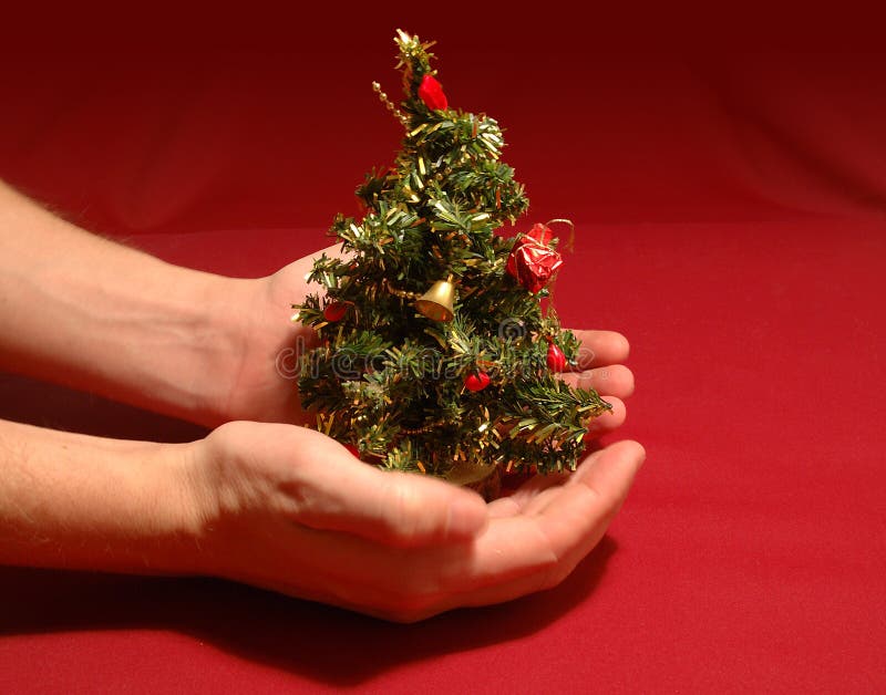 Albero di Natale molto piccolo fotografia stock libera da diritti Albero di Natale molto piccolo fotografia stock libera da diritti