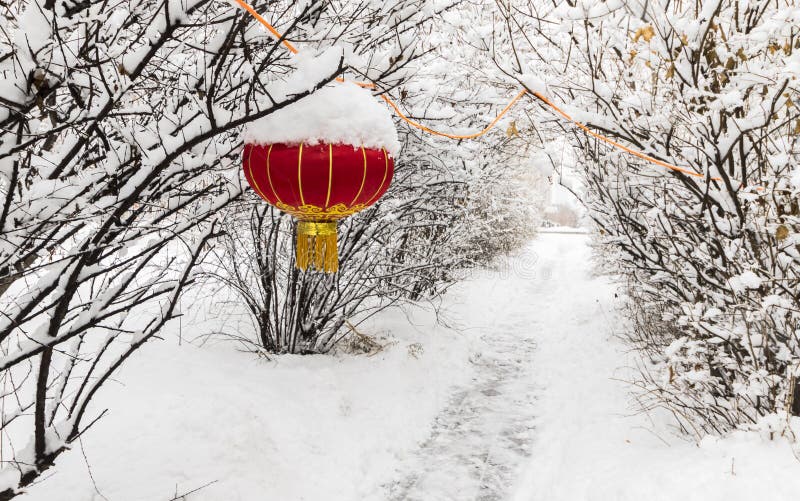 Albero di nordest della neve della lanterna rossa cinese fotografia stock Albero di nordest della neve della lanterna rossa cinese fotografia stock