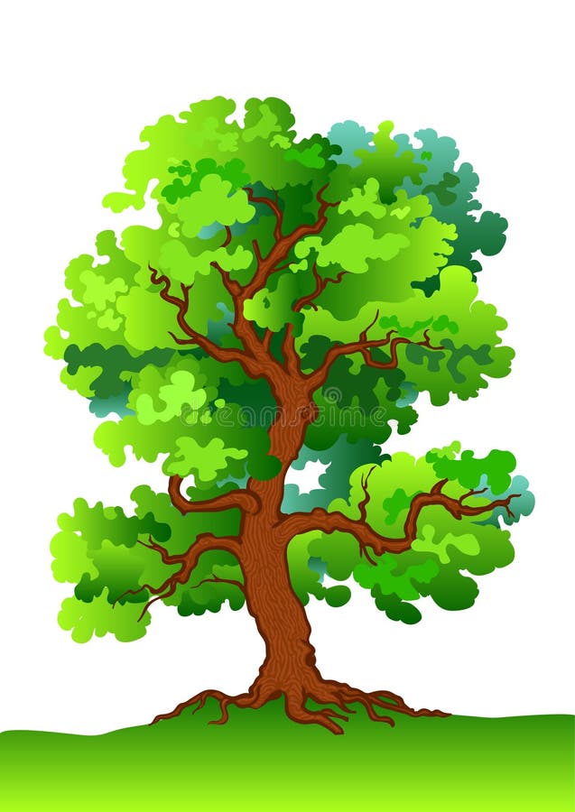 Albero di quercia illustrazione di stock Albero di quercia illustrazione di stock