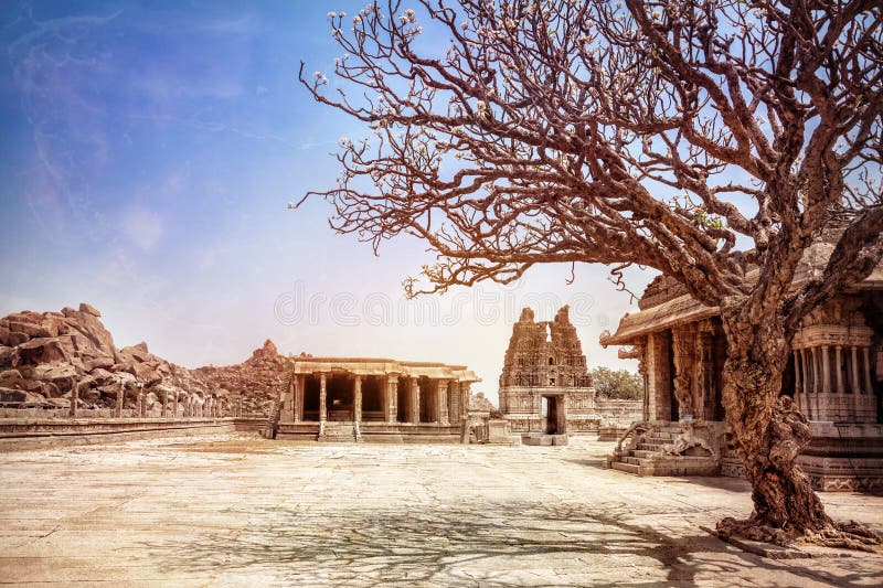 Albero e tempie in Hampi immagine stock libera da diritti Albero e tempie in Hampi immagine stock libera da diritti
