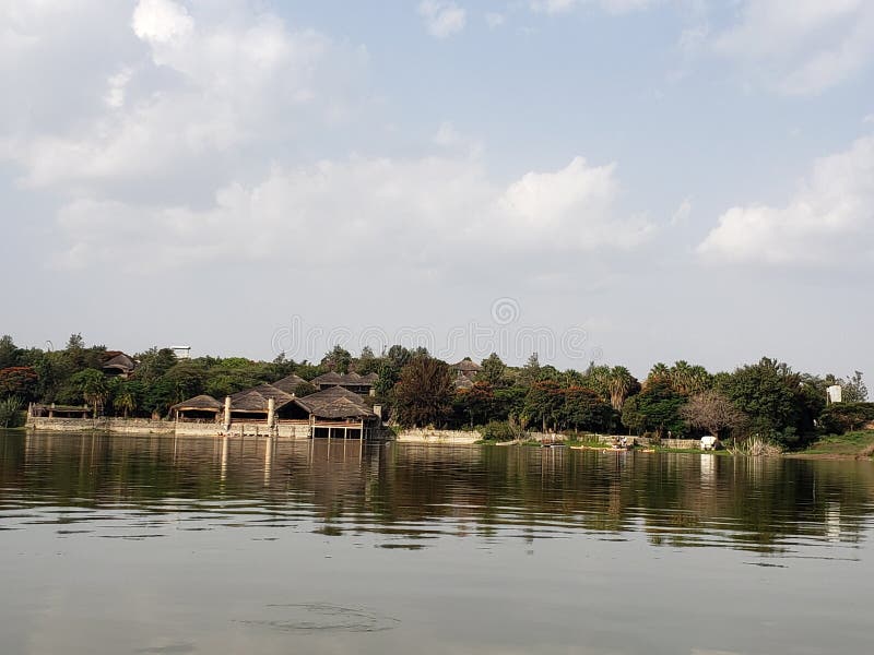 Albero limpido dal lago di Resort fotografia stock