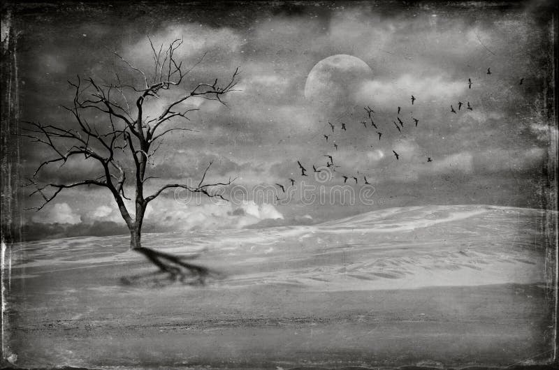 Albero morto nel paesaggio sterile del deserto fotografie stock libere da diritti Albero morto nel paesaggio sterile del deserto fotografie stock libere da diritti