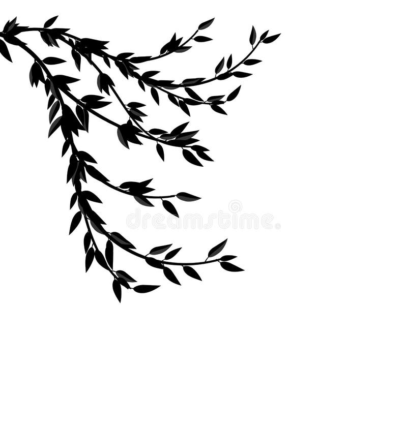 Albero nero del ramo della siluetta con le foglie