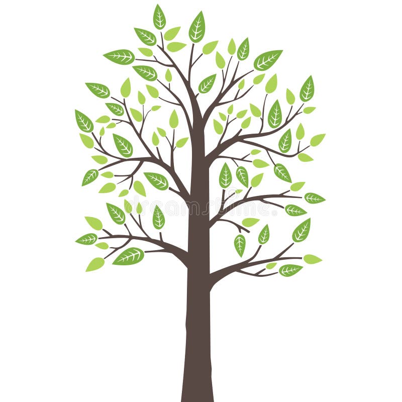 Albero solo stilizzato con le giovani foglie fresche illustrazione vettoriale Albero solo stilizzato con le giovani foglie fresche illustrazione vettoriale