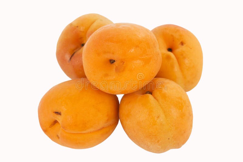 Albicocca fresca immagini stock Albicocca fresca immagini stock