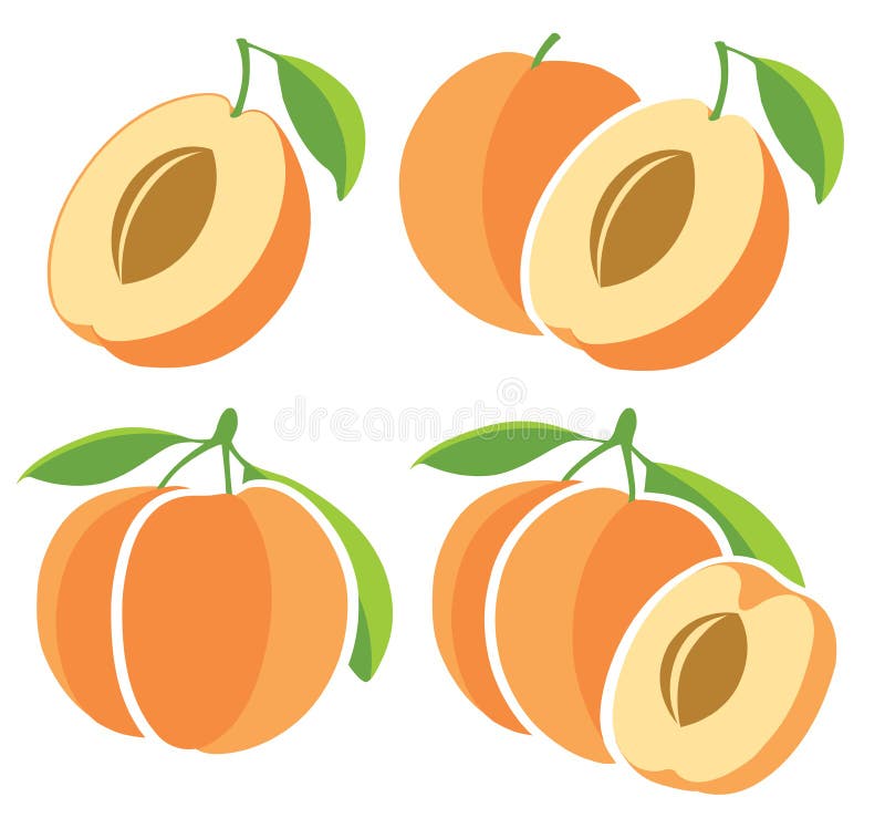 albicocche royalty illustrazione gratis albicocche royalty illustrazione gratis