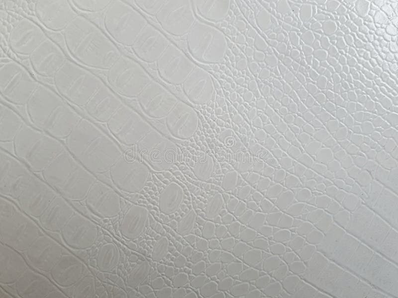 Albino Reptile Leather Texture Background blanco en blanco foto de archivo libre de regalías Albino Reptile Leather Texture Background blanco en blanco foto de archivo libre de regalías