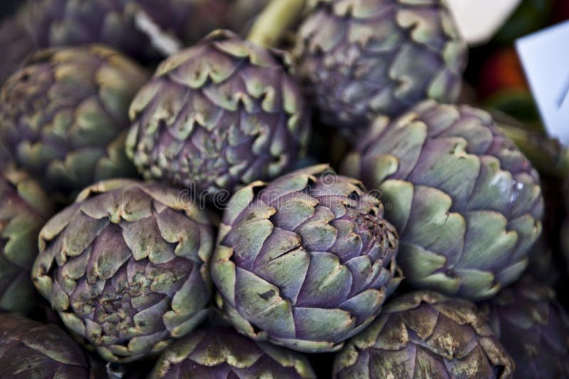 Greenish purple artichokes on a cloudy day. Greenish purple artichokes on a cloudy day.