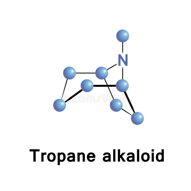 Tropane alkaloids are a class of bicyclic alkaloids and secondary metabolites that contain a tropane ring in their chemical structure. Tropane alkaloids are a class of bicyclic alkaloids and secondary metabolites that contain a tropane ring in their chemical structure