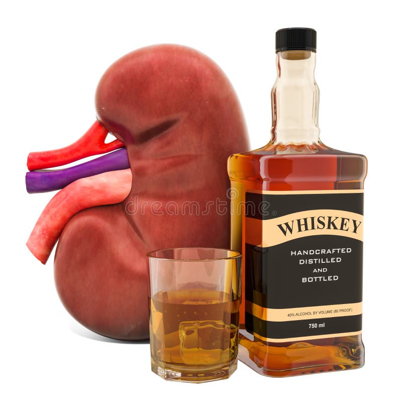 Alcohol`s Impact on Kidney Function Concept. Human Kidney with Alcohol