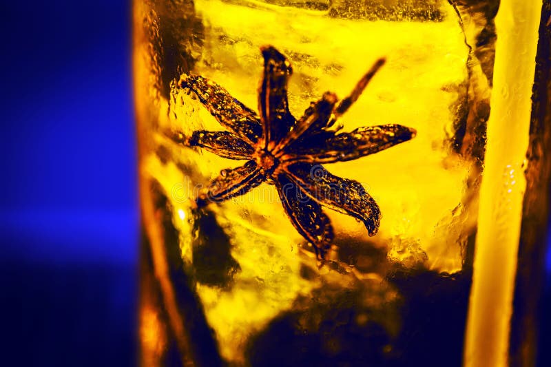 Alcoholic Drink with Star Anise, Exotic Drink on Isolated Black