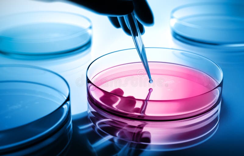Alcune capsule di Petri con i chiari liquidi e una pipetta royalty illustrazione gratis