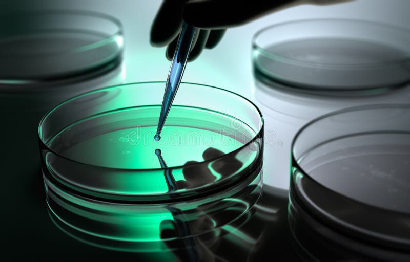 Alcune capsule di Petri con i chiari liquidi e una pipetta illustrazione di stock