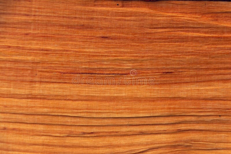 Gỗ sồi là một loại gỗ có độ bền và độ cứng cao. Hãy xem hình ảnh này để ngắm nhìn vẻ đẹp khác biệt và đầy tinh tế của gỗ sồi.