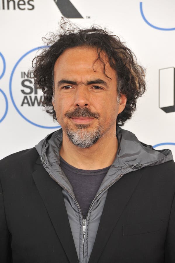 Alejandro Gonzalez Inarritu stock foto Alejandro Gonzalez Inarritu stock foto