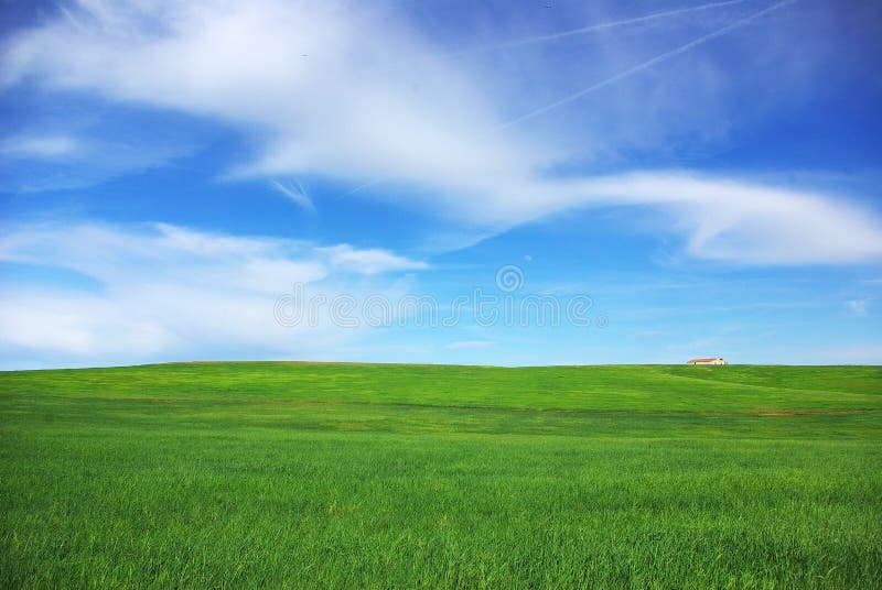 Alentejo fältgreen royaltyfria bilder