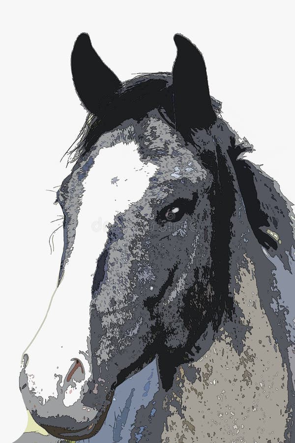 Alerte Grey Mare Head - peinture illustration libre de droits Alerte Grey Mare Head - peinture illustration libre de droits