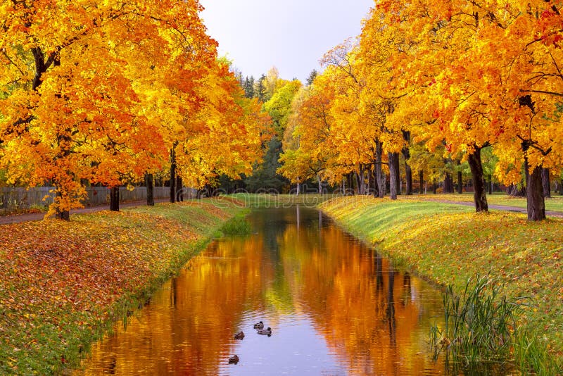 Alexander Park in Autumn, Pushkin Tsarskoe Selo, St. Petersburg, Russia ...
