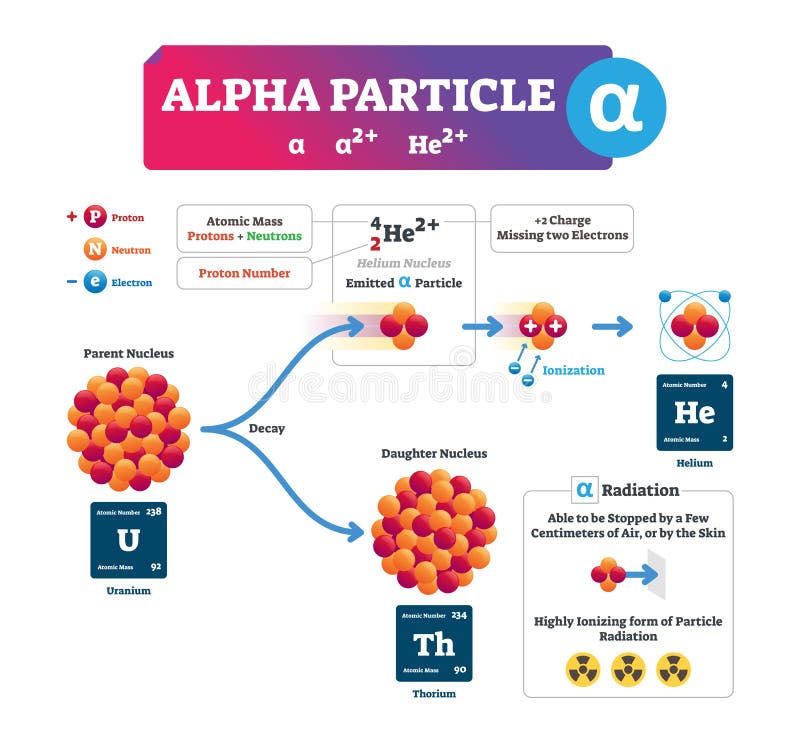 Alpha particle vector illustration. Labeled atomic ion process explanation infographic. Structure scheme with electron, proton and neutron. Concept of parent nucleus, emitted particle and daughter. Alpha particle vector illustration. Labeled atomic ion process explanation infographic. Structure scheme with electron, proton and neutron. Concept of parent nucleus, emitted particle and daughter.