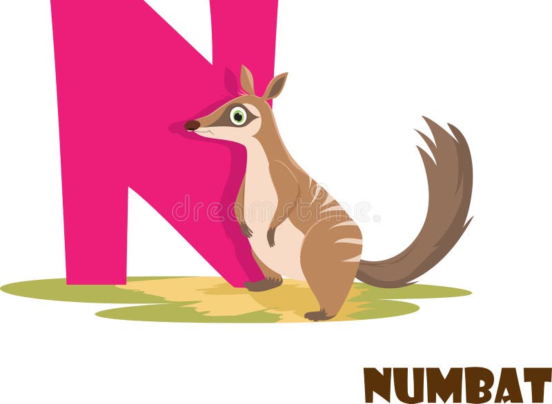 Alfabeto animal bonito do jardim zoológico Letra N para Numbat ilustração royalty free Alfabeto animal bonito do jardim zoológico Letra N para Numbat ilustração royalty free