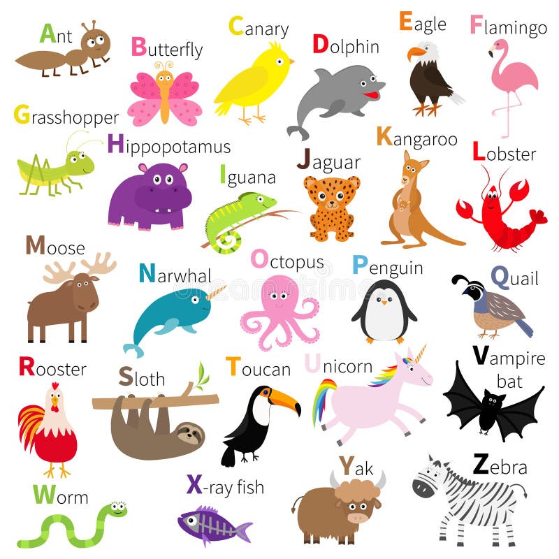 Alfabeto del animal del parque zoológico Juego de caracteres lindo de la historieta Fondo blanco Educación de los niños del bebé libre illustration