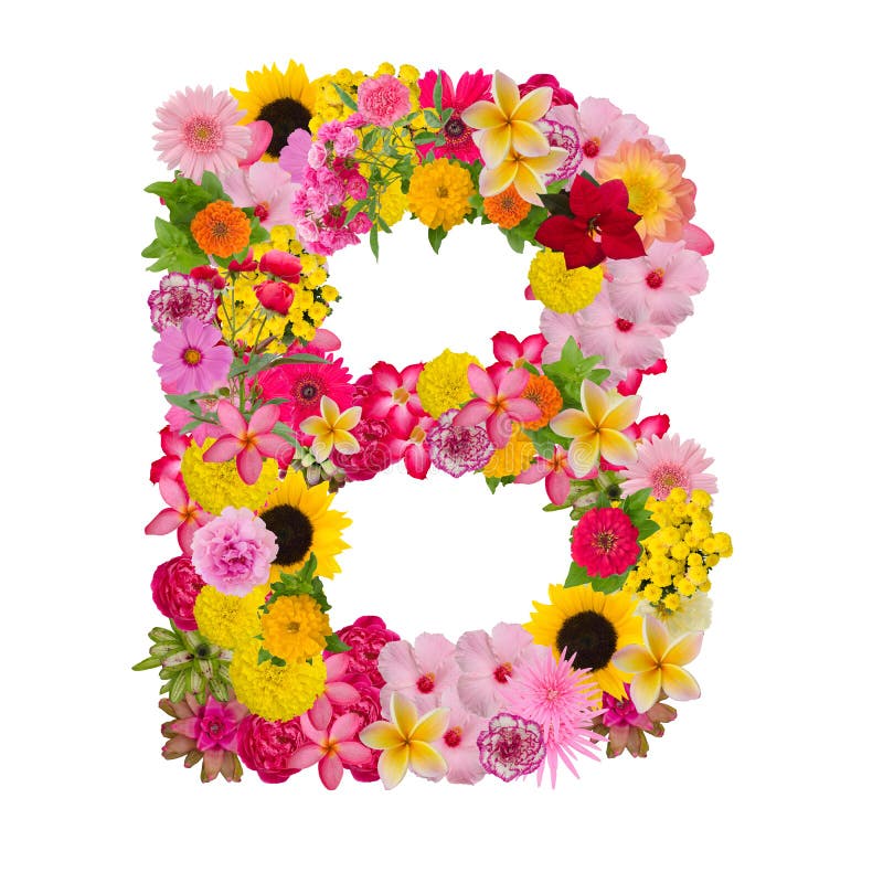 Letter B alphabet with flower ABC concept type as logo isolated on white background. With clipping path. Letter B alphabet with flower ABC concept type as logo isolated on white background. With clipping path