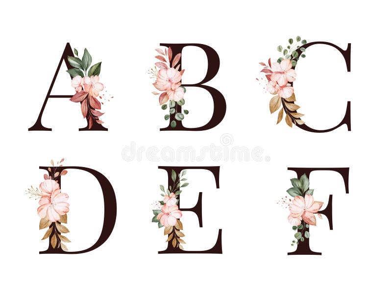 Alfabeto floral acuático de A, B, C, D, E, F con flores y hojas rojas y marrones Composición de flores para el logotipo, las tarj libre illustration
