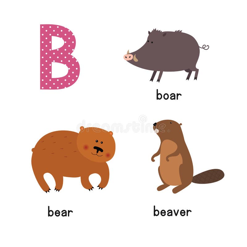 Alfabeto lindo del parque zoológico en vector Letra de B Animales divertidos de la historieta: Oso, castor, verraco ilustración del vector Alfabeto lindo del parque zoológico en vector Letra de B Animales divertidos de la historieta: Oso, castor, verraco ilustración del vector