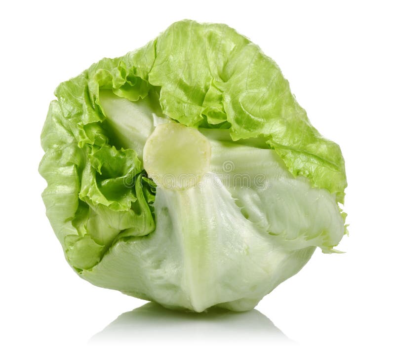 Alface de iceberg imagens de stock royalty free Alface de iceberg imagens de stock royalty free