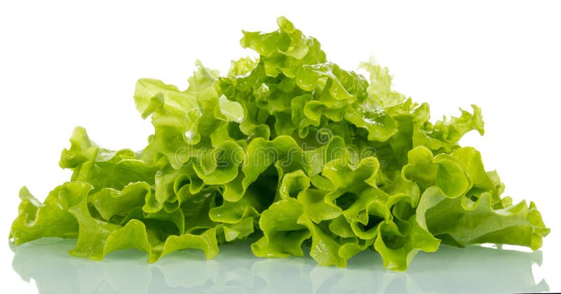 A alface fresca sae do close up imagens de stock royalty free