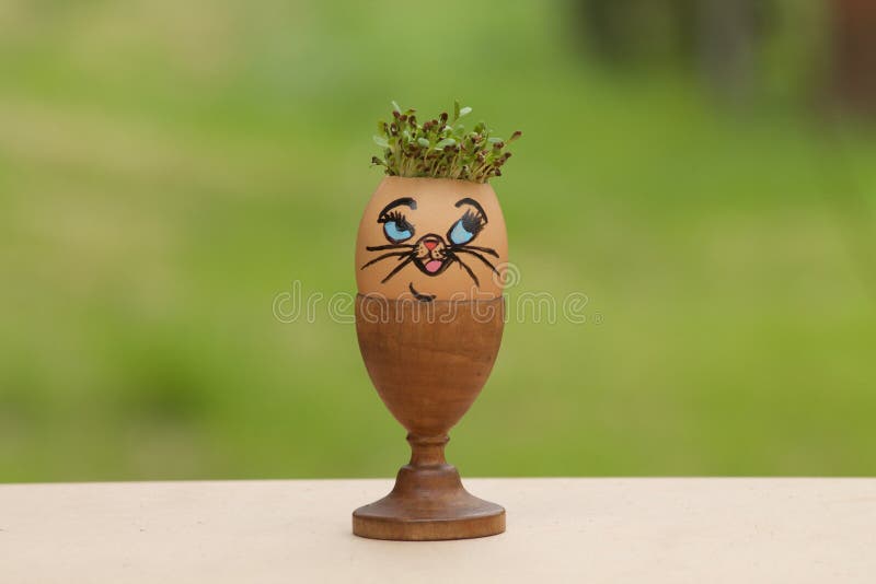 Alfalfa Sprouts in Decorated Egg Like a Cat. Stock Image Image of