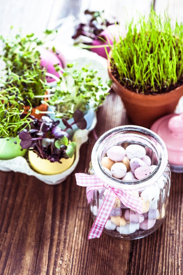 Alfalfa Sprouts in Easter Eggs Shell, from Above Stock Image Image of