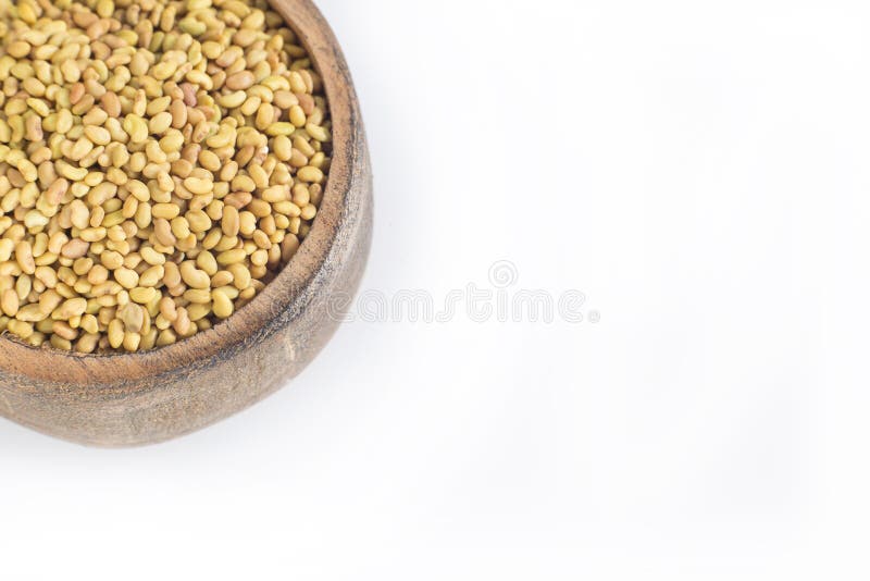 Alfalfafrö i träbunken - sativa Medicago arkivfoto Alfalfafrö i träbunken - sativa Medicago arkivfoto